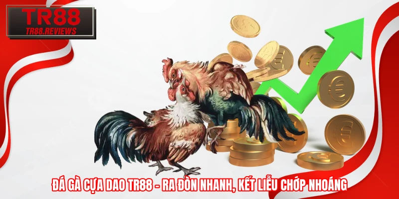Đá Gà Cựa Dao TR88 – Ra Đòn Nhanh, Kết Liễu Chớp Nhoáng
