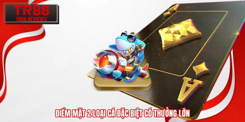 Điểm mặt 2 loại cá đặc biệt có thưởng lớn Điểm mặt 2 loại cá đặc biệt có thưởng lớn