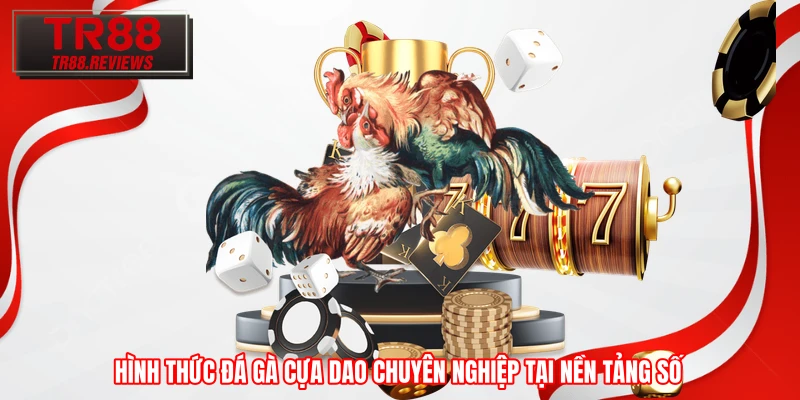 Hình thức đá gà cựa dao chuyên nghiệp tại nền tảng số Hình thức đá gà cựa dao chuyên nghiệp tại nền tảng số