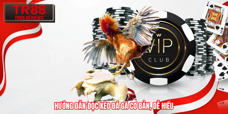 Hướng dẫn đọc kèo đá gà cơ bản, dễ hiểu