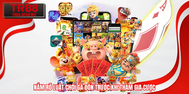 Nắm rõ luật chơi gà đòn trước khi tham gia cược Nắm rõ luật chơi gà đòn trước khi tham gia cược