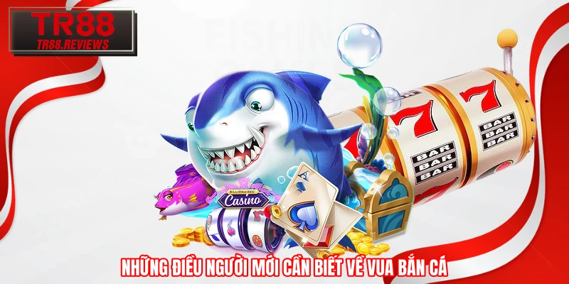 Những điều người mới cần biết về Vua Bắn Cá Những điều người mới cần biết về Vua Bắn Cá