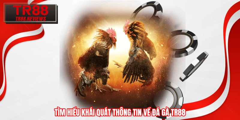 Tìm hiểu khái quát thông tin về đá gà TR88